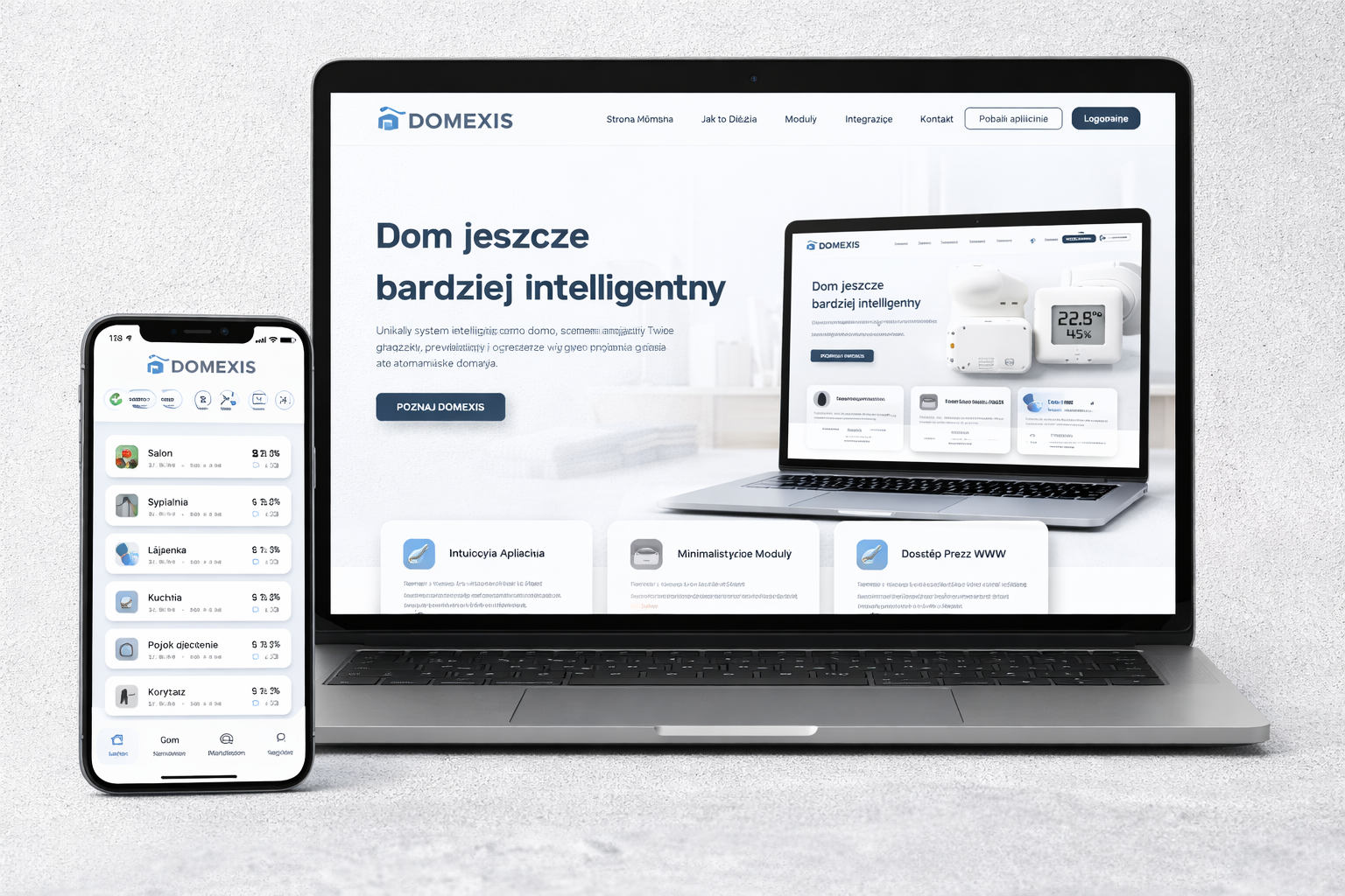 Wizualizacja platformy Domexis